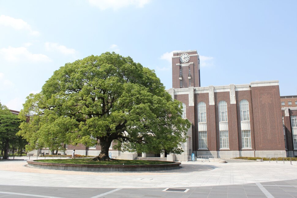 Chia sẻ từ cựu sinh viên Đại học Kyoto – chương trình Kyoto iUP