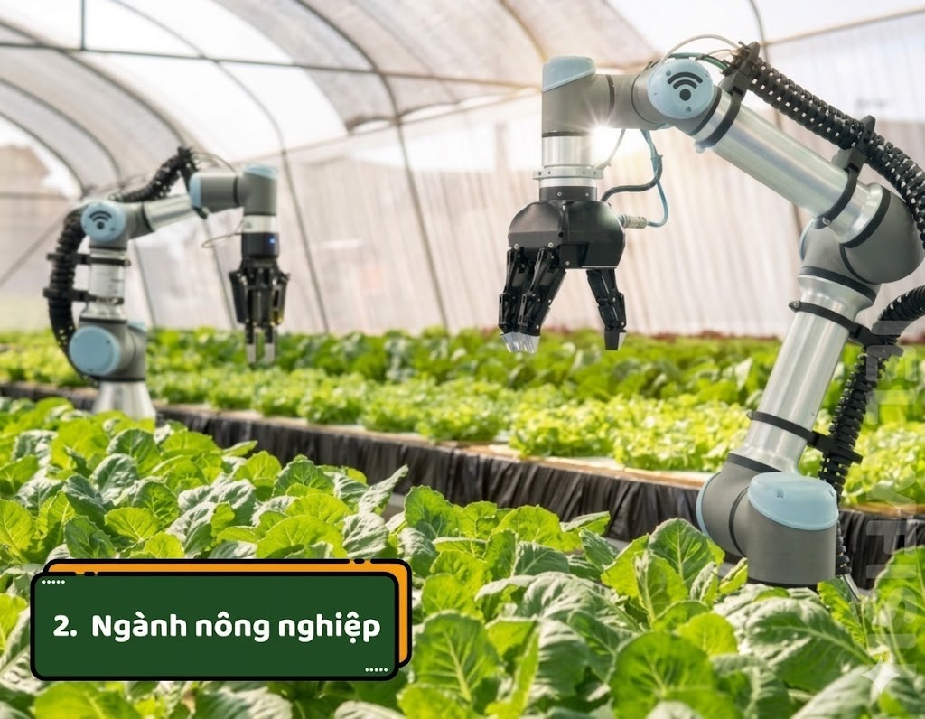 Du học Nhật Bản có những ngành nào? Nên chọn ngành gì?